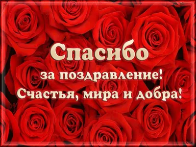 Картинки спасибо за поздравление с днем рождения и добрые слова (42 фото) »  Красивые картинки, поздравления и пожелания - Lubok.club