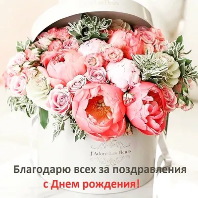 Спасибо за поздравления - Новости Украины