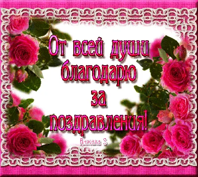 Благодарю всех друзей, знакомых и поклонников за поздравления с Днем  рождения🏵️🏵️💓💓💍📿🌷🍰🎂🎂! Вчера по… | С днем рождения,  Поздравительные открытки, Открытки