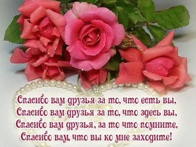 Поздравления с днем рождения: в стихах, прозе и картинках для мужчин и  женщин — Разное