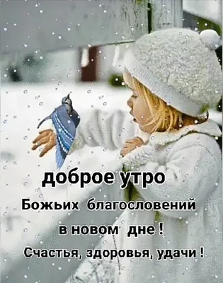 Мир Вам и вашему дому! Божьих благословений в Новом дне!🌹🌹🌹🙏🤗🙂 |  ,,Серафима,, | Дзен