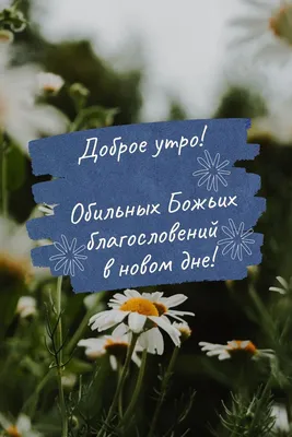 ○══════◅✾`”*°•.✿ღ 🌼🍃🌸💕🌸🍃🌼 ღ✿•°*”✾▻═══════○ ДОБРОЕ УТРО! Благословляю новый  день, благословляю.. | ВКонтакте