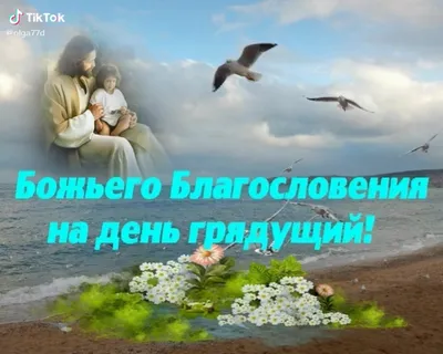Доброго благословенного дня (В статье много фото) - treepics.ru