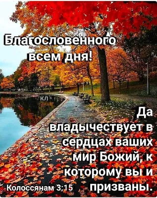 Благословенного дня - это такое счастье получать от Бога каждый день!  🙏💯❤️💯🙏.Аллилуия! ❤️❤️❤️❤️❤️ | Instagram