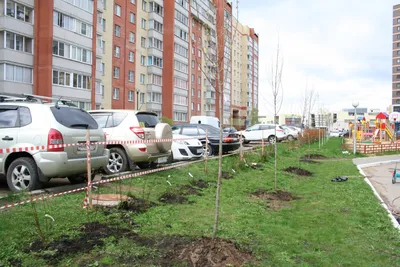 создание дорожно тропиночной сети