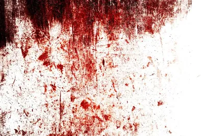 Bloody hand print isolated. Handprint blood smeared. Horror scary blood  dirty handprint and fingerprint. Red hand print. Halloween bloody hand.  29490751 PNG