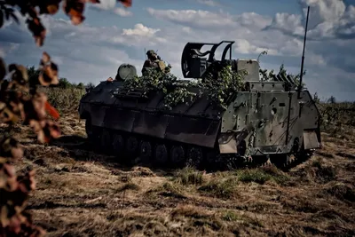 BMP-3 - Wikipedia