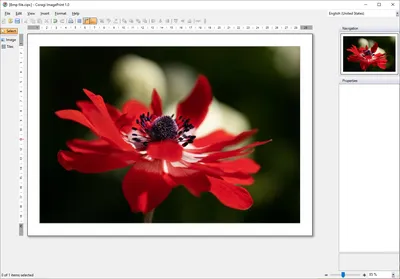 c - Write BMP image - Stack Overflow