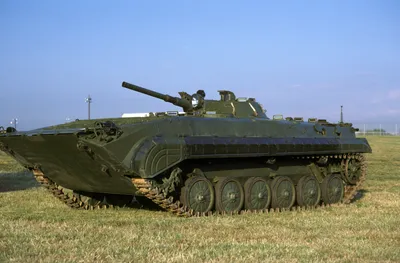 Скорпион BMP формат файла, Скорпион, насекомые, скорпион PNG, дизайн  продукта png | PNGWing