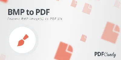 What is a BMP File | How to Open a BMP File?