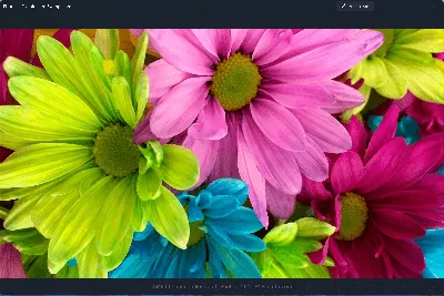 BMP file format png images | PNGWing