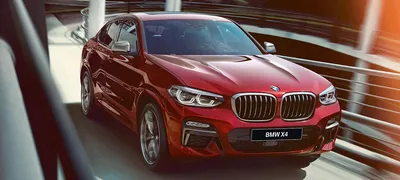 New 2024 BMW X4 M Sport Utility in Chicago #B45736 | Perillo BMW