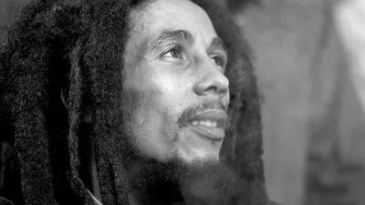 Bob Marley: истории из жизни, советы, новости, юмор и картинки — Лучшее,  страница 10 | Пикабу