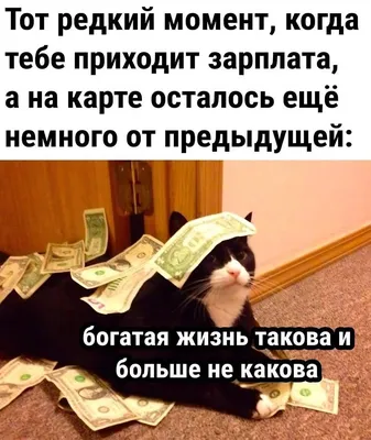 Богатая Жизнь