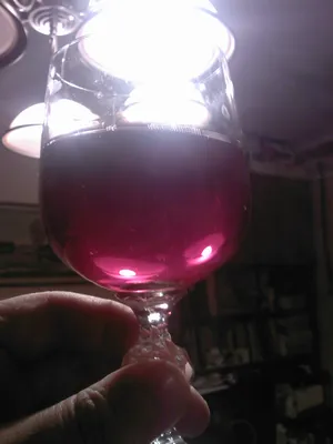 Фотография бокала вина в руке: скачать в формате WebP