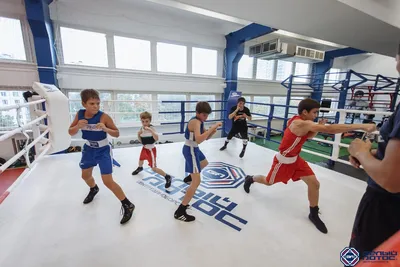 Занятия боксом для детей от 7 лет ∣ Боксерский клуб Октябрь
