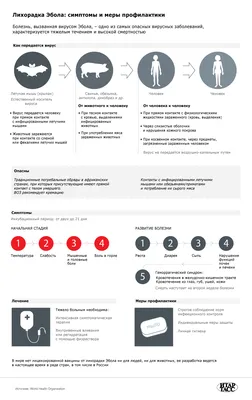 Ученые объяснили причину новой вспышки лихорадки Эбола - РИА Новости,  16.09.2021