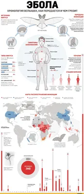 Смертельная зараза: за что мы благодарны лихорадке Эбола и при чем тут  «Спутник V»
