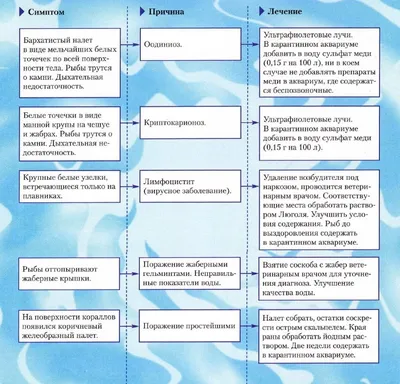 Купить аквариумных рыбок и рыб. | АквариумОК