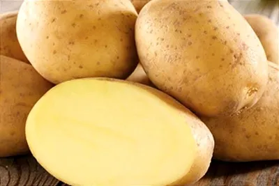 Внутри клубня картофеля коричневые вкрапления-это железистая или ржавая  пятнистость. Причины | Моё тридевятое царство | Дзен