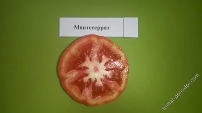 Монтсеррат (Montserrat) - М — сорта томатов - tomat-pomidor.com - отзывы на  форуме | каталог