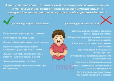 Почему лёжа болит живот, что делать? | health | Дзен