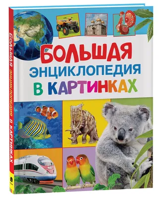 Большая энциклопедия в картинках – купить по лучшей цене на сайте  издательства Росмэн