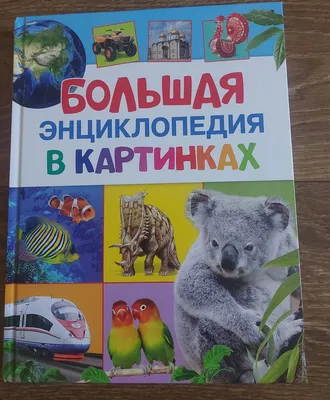 Энциклопедия в картинках для самых маленьких – купить по лучшей цене на  сайте издательства Росмэн