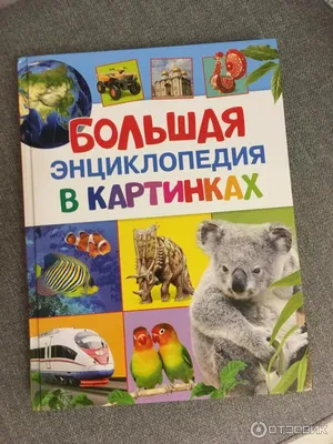 РОСМЭН Большая энциклопедия в картинках. Раннее развитие малыша 2+