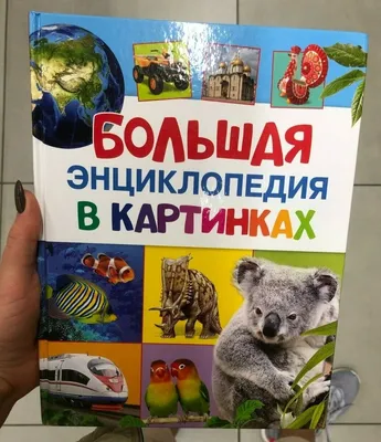 РОСМЭН Большая энциклопедия в картинках на русском Russian encyclopedia fot  kids | eBay