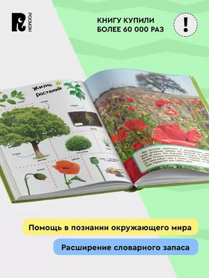 Книга Росмэн Большая энциклопедия в картинках купить по цене 399 ₽ в  интернет-магазине Детский мир