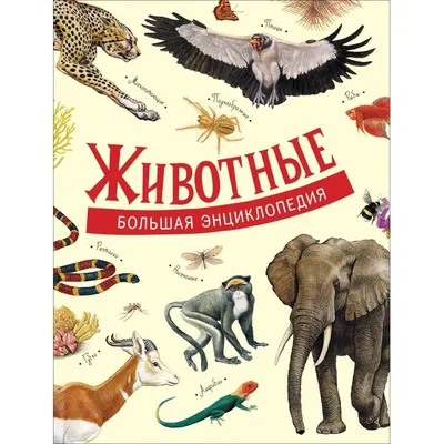 РОСМЭН Большая энциклопедия в картинках на русском Russian encyclopedia fot  kids | eBay