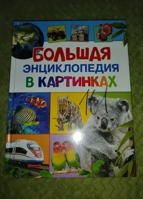 Книга Росмэн Большая энциклопедия в картинках - купить детской энциклопедии  в интернет-магазинах, цены на Мегамаркет | 978-5-353-07412-0