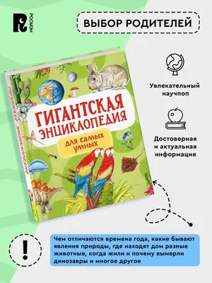 Книга Росмэн книга Большая Детская Энциклопедия Росмэн 1446 - купить  детской энциклопедии в интернет-магазинах, цены на Мегамаркет | 1446