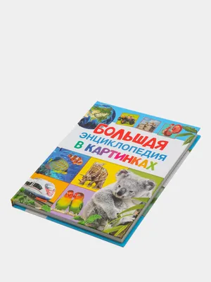 Большая энциклопедия знаний Б. Вильямс, В. Иган, Энн МакРей - купить книгу Большая  энциклопедия знаний в Минске — Издательство РОСМЭН на OZ.by