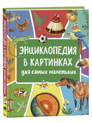 Книга Росмэн Большая энциклопедия в картинках - купить детской энциклопедии  в интернет-магазинах, цены на Мегамаркет | 978-5-353-07412-0