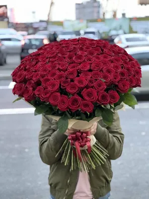 Огромный букет из 151 красной розы «Гран При»
