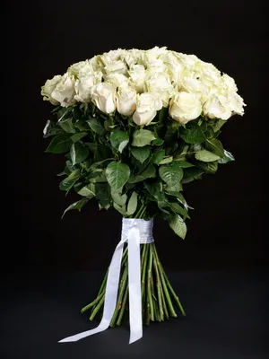 Купить Букет из 101 красной розы \"Моника\" в Киеве с доставкой по Украине -  Annetflowers