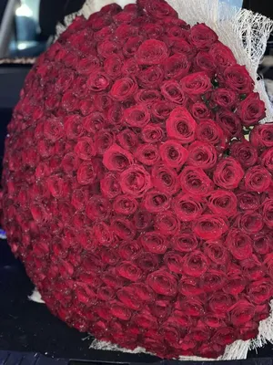 Большой букет роз (365 шт)— купить в Таразе по цене 665800.00 тенге |  Интернет-магазин «TarazZakazBuketov»