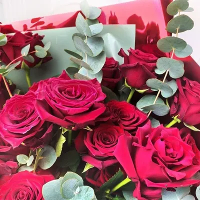 Французские бордовые розы со свежим эвкалиптом, артикул F1174644 - 4790  рублей, доставка по городу. Flawery - доставка цветов