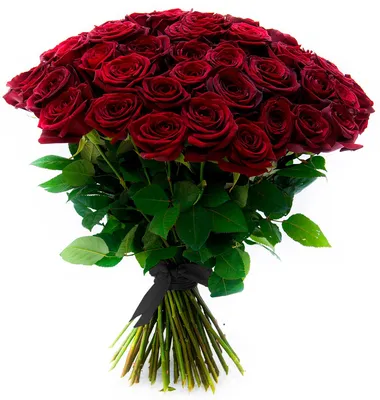 Купить букет из 101 бордовой розы 70 см по доступной цене с доставкой в  Москве и области в интернет-магазине Город Букетов