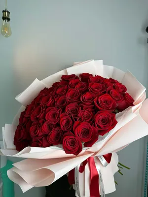 Купить красные розы в Москве недорого! Купить цветы.
