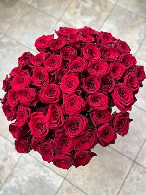 Бордовые розы» — создано в Шедевруме