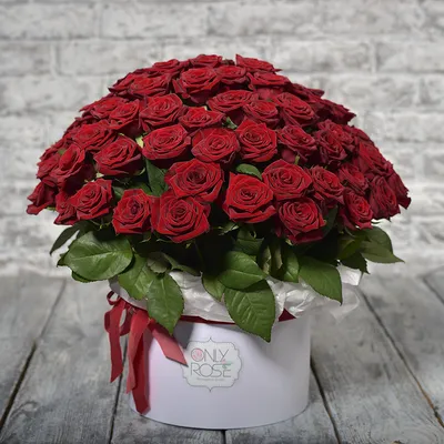 Букет №734 – 43 красные розы – ЦВЕТЫ 2.0