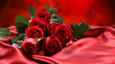 Красные розы Голландия 90 см шт. купить с доставкой по Краснодару