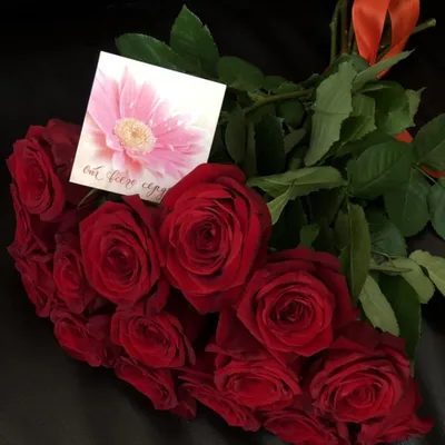 Розы , розы красные, розы бордовые, розы эстетика, розочки | Розы, Красные  розы, Цветы
