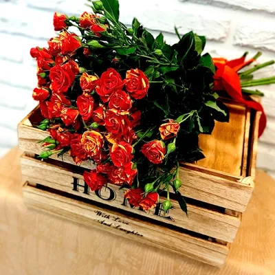 Букет «Бордовые розы» - заказать и купить за 2 200 ₽ с доставкой в  Калининграде - партнер «Розамунда»