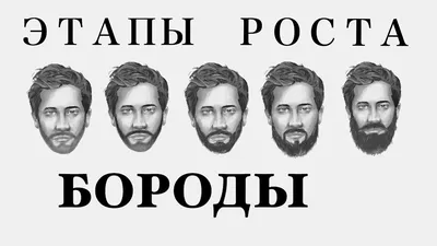 Топ 23 стиля бороды в 2017 году: как отрастить, сделать, подобрать