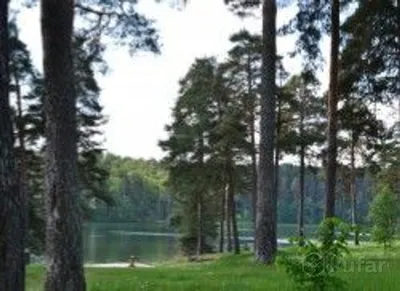 Озеро Бобрица – рыбалка, отдых, домики, цены
