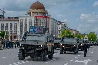 Пин от пользователя Borz на доске Борз | Борзая